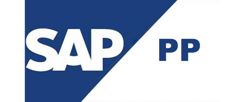 SAP PP Uzman Danışmanlık Eğitimi